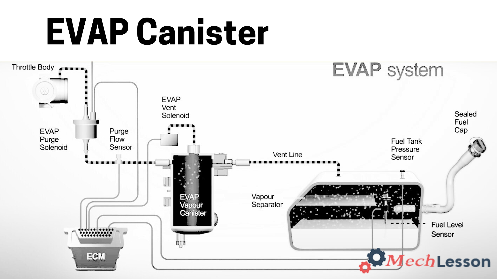 EVAP Canister