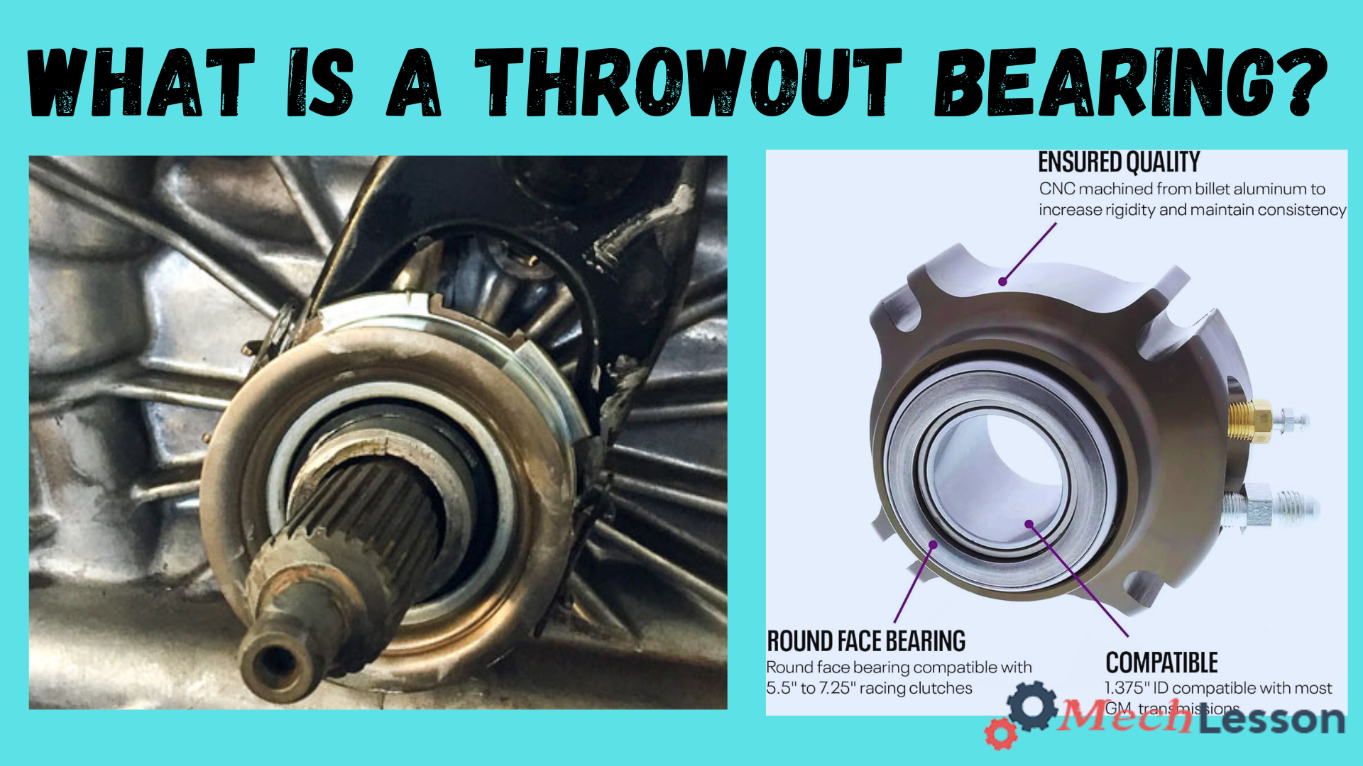 Throwout Bearing