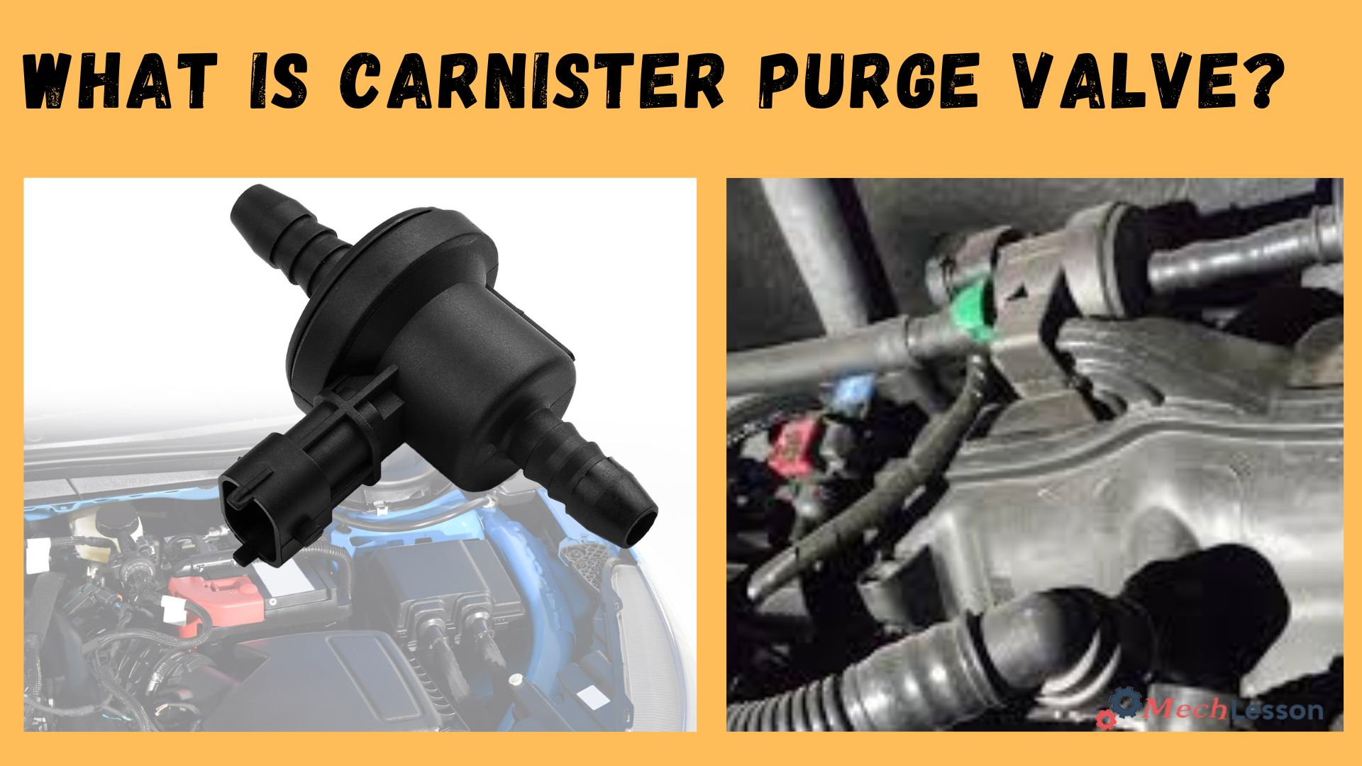 carnister purge valve