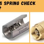 spring check valve