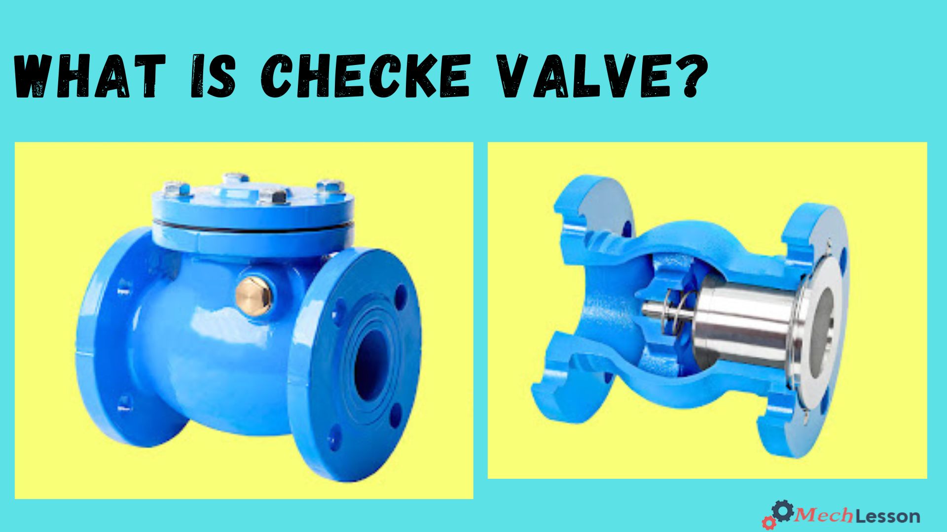 Check valve